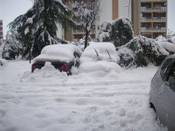 12-Neve-Frosinone-2012