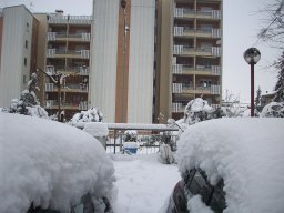 20-Neve-Frosinone-2012