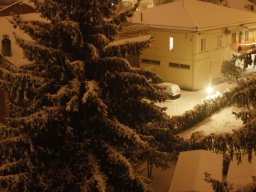 17 febbraio 2010